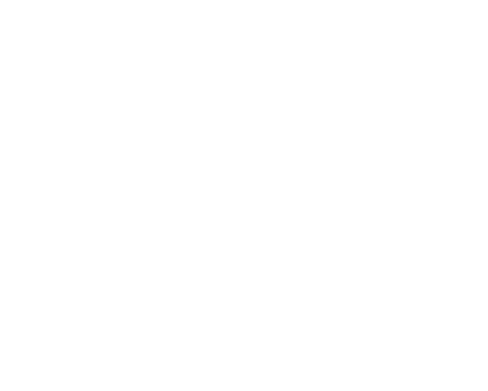 Faster-Construction-Timelines